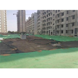 唐能種植屋面虹吸排水收集系統(tǒng) 為城市建筑注入綠色動(dòng)力